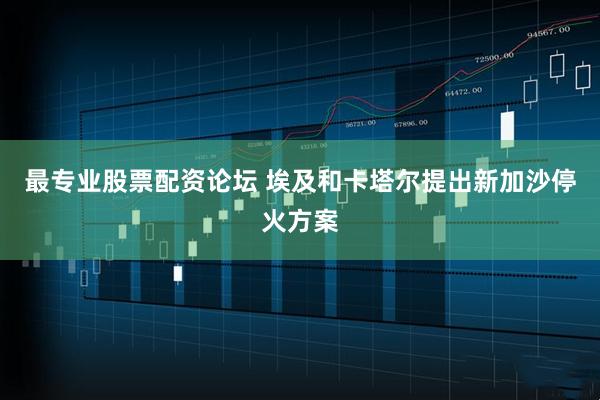 最专业股票配资论坛 埃及和卡塔尔提出新加沙停火方案